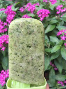 fodmap beverages - Green Smoothie Popsicle