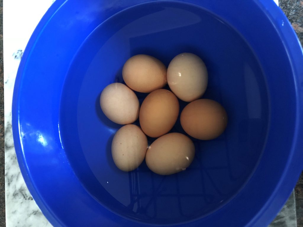 Hard boiled eggs in an ice water bath.