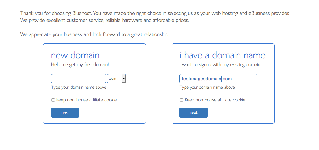 Bluehost Domain Name choices