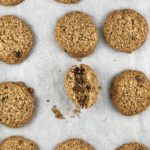 FODMAP safe cookies - Gluten-free lactation oatmeal chocolate chip cookies